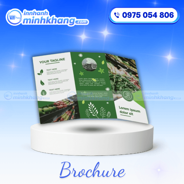 Brochure Phân Bón