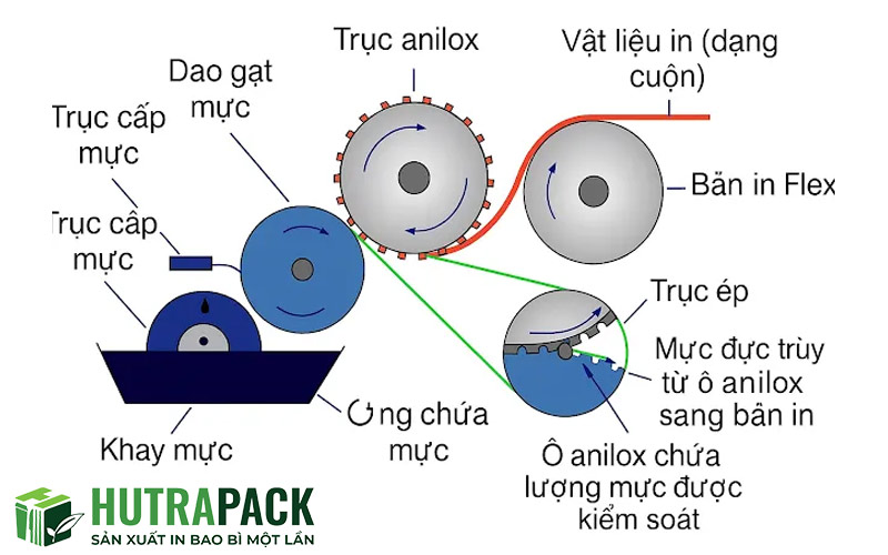Nguyên lí hoạt động kỹ thuật in flexo