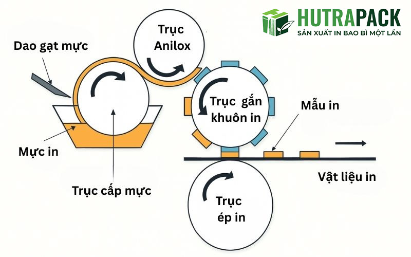 Quy trình in flexo